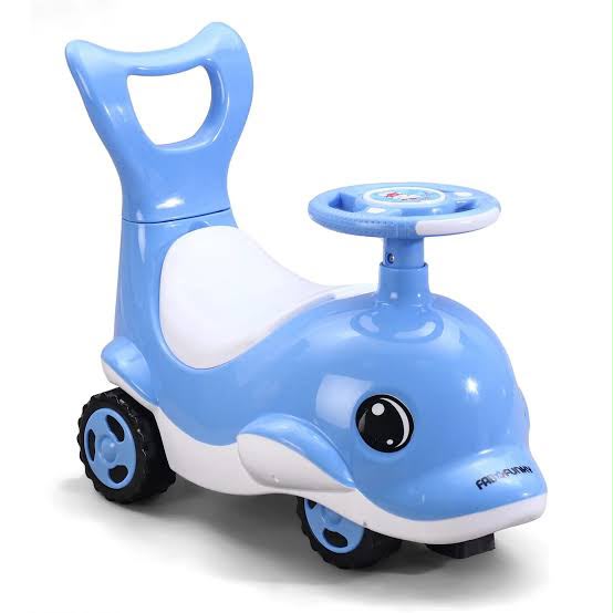 DOLPHIN RIDE ON